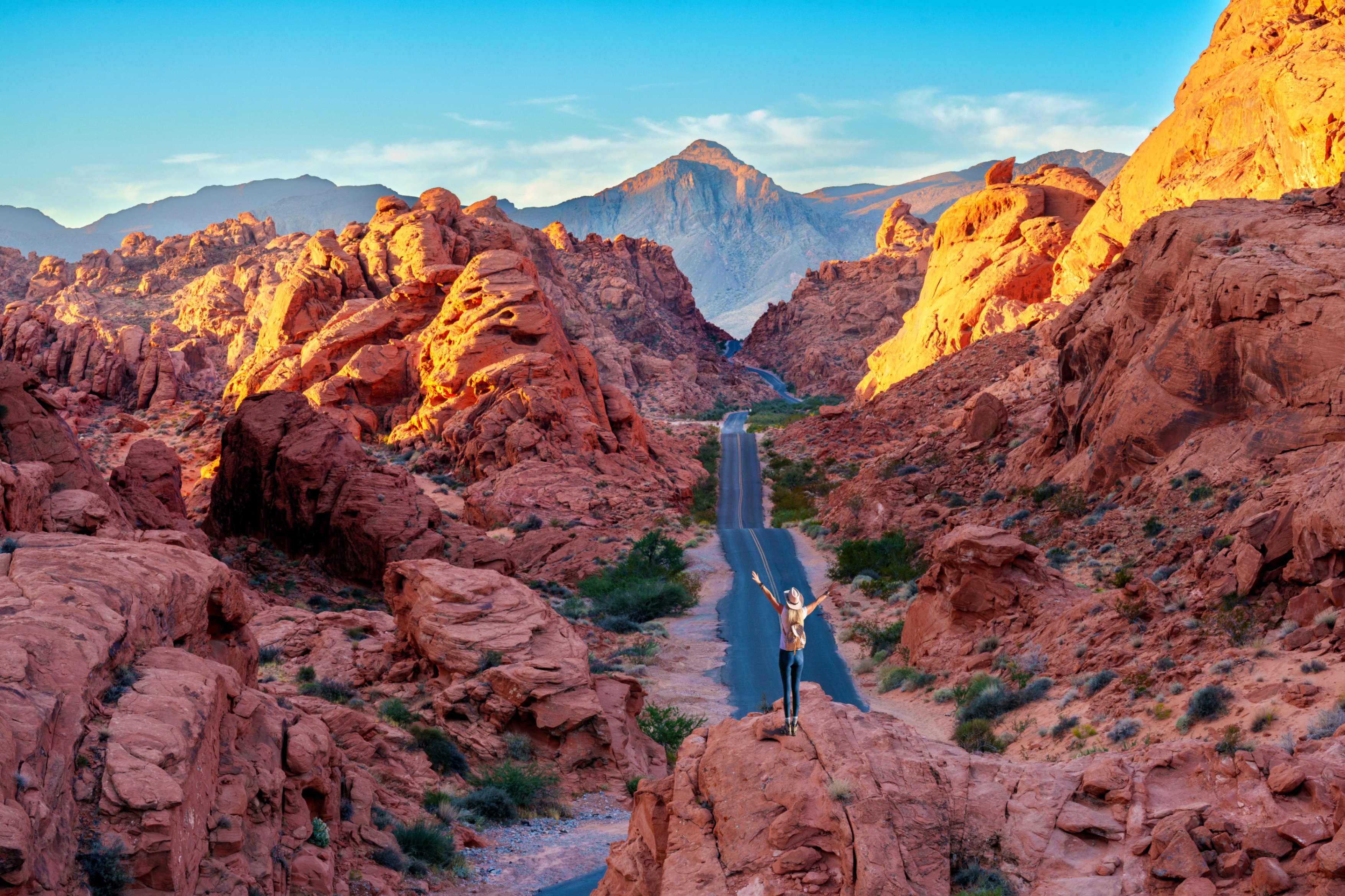 Select Stop Llc Flights from Tucson(TUS) to Las Vegas(LAS) | Tucson International Airport